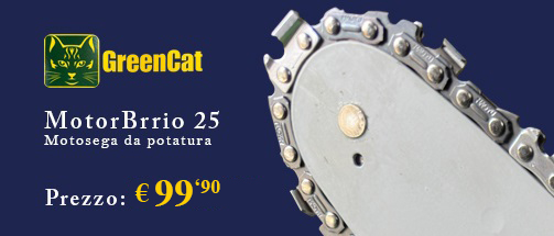 Motosega MotorBrrioGreenCat